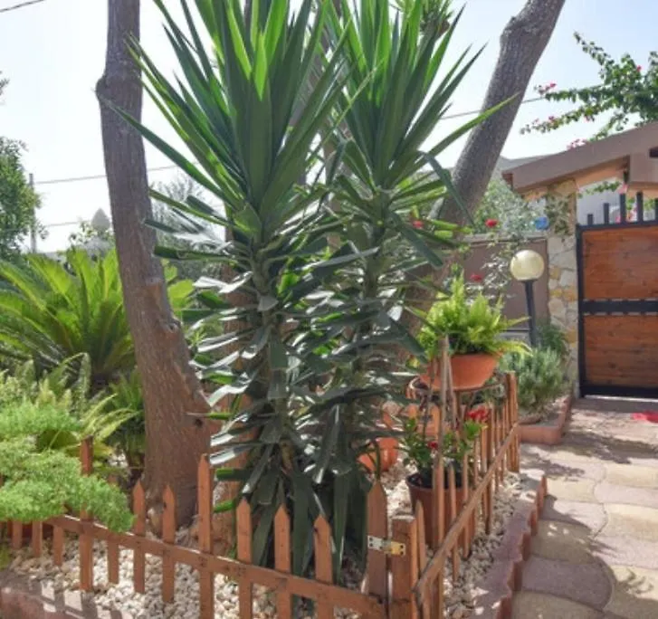 Villa Casa Di Alice A 250 Metri Dal Mare Noto Casa vacanze